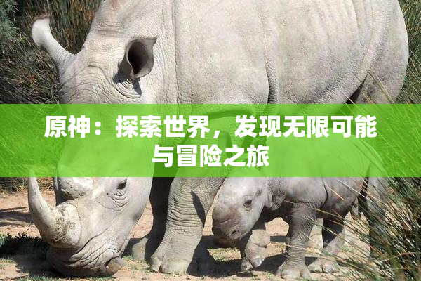 原神：探索世界，发现无限可能与冒险之旅