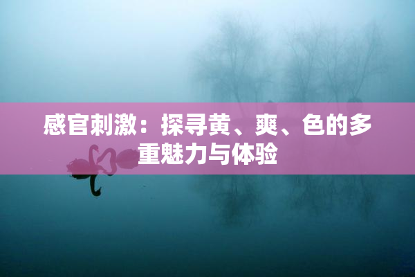 感官刺激：探寻黄、爽、色的多重魅力与体验
