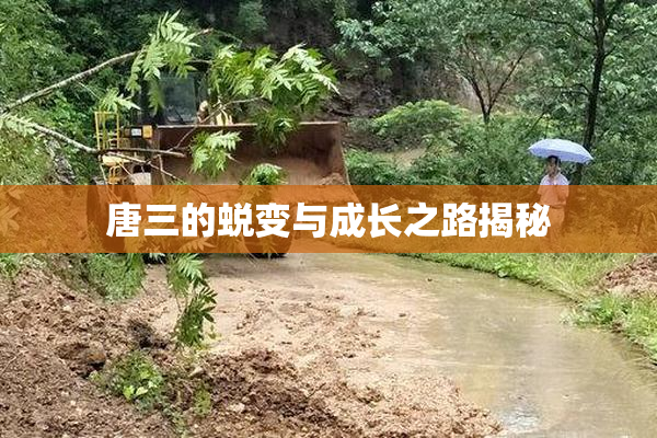 唐三的蜕变与成长之路揭秘