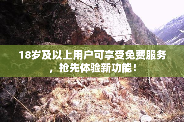 18岁及以上用户可享受免费服务，抢先体验新功能！