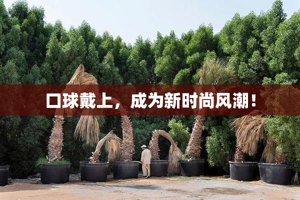 口球戴上，成为新时尚风潮！