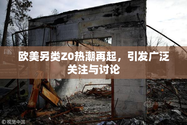 欧美另类Z0热潮再起，引发广泛关注与讨论