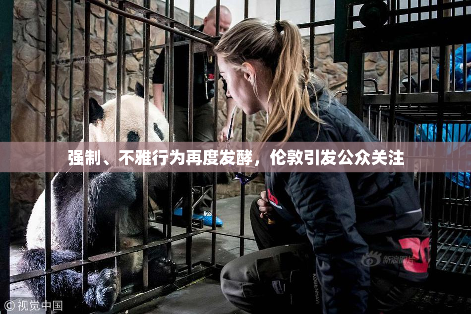 强制、不雅行为再度发酵，伦敦引发公众关注