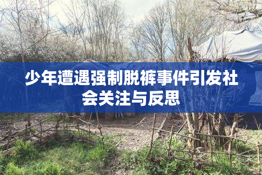少年遭遇强制脱裤事件引发社会关注与反思