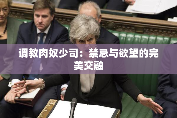 调教肉奴少司：禁忌与欲望的完美交融