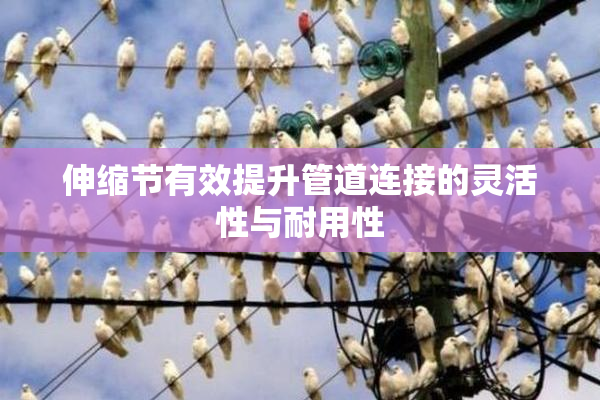 伸缩节有效提升管道连接的灵活性与耐用性