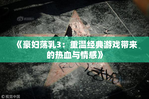 《豪妇荡乳3：重温经典游戏带来的热血与情感》