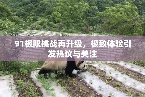 91极限挑战再升级，极致体验引发热议与关注