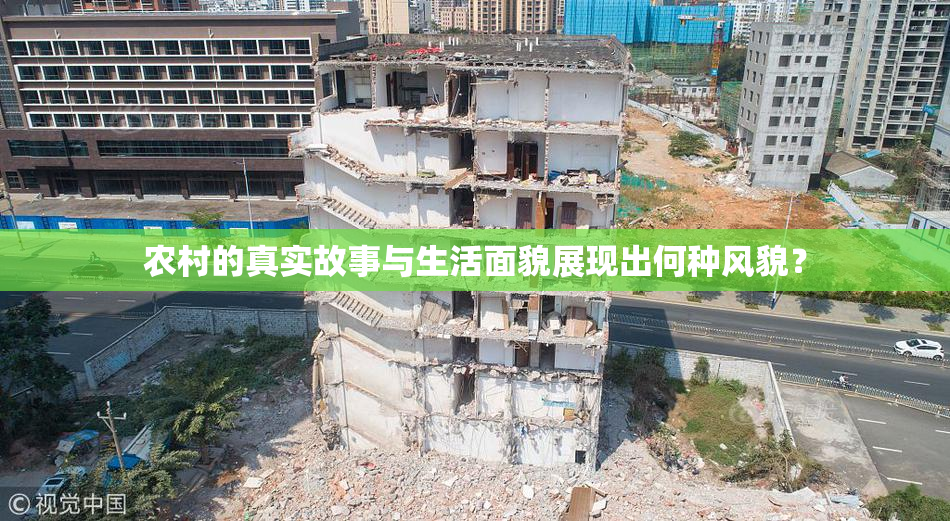 农村的真实故事与生活面貌展现出何种风貌？