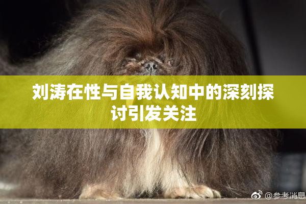 刘涛在性与自我认知中的深刻探讨引发关注