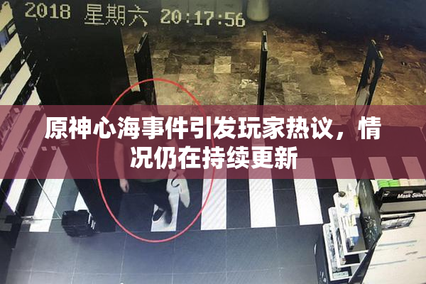 原神心海事件引发玩家热议，情况仍在持续更新