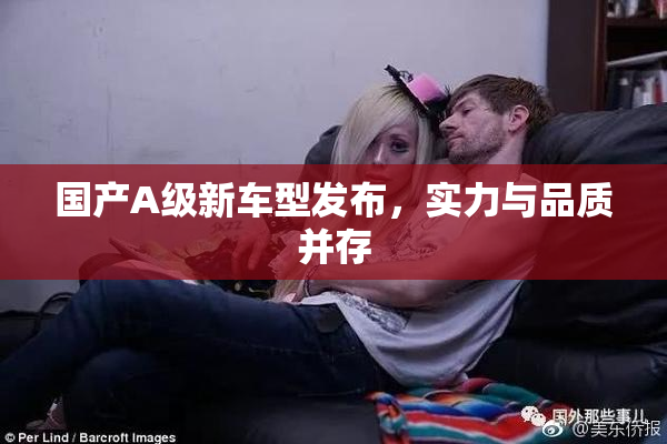 国产A级新车型发布，实力与品质并存