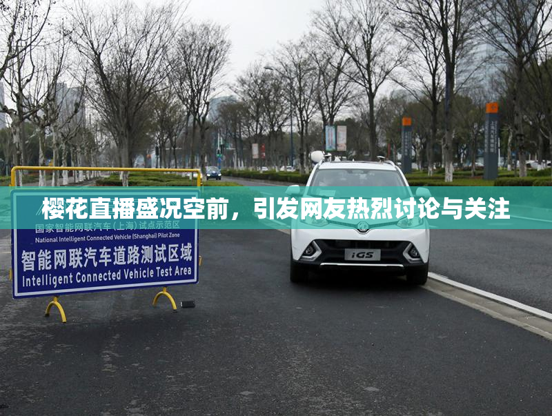 樱花直播盛况空前，引发网友热烈讨论与关注