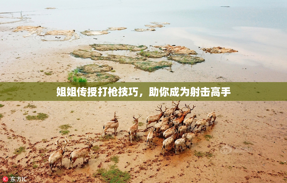 姐姐传授打枪技巧，助你成为射击高手