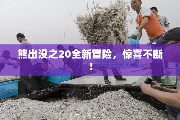 熊出没之20全新冒险，惊喜不断！