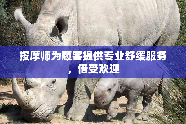 按摩师为顾客提供专业舒缓服务，倍受欢迎