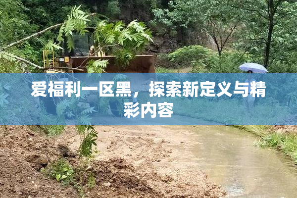 爱福利一区黑，探索新定义与精彩内容