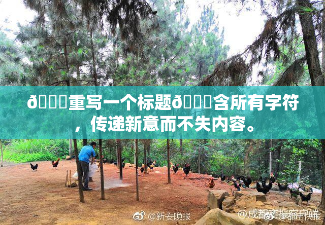 🔞重写一个标题🔞含所有字符，传递新意而不失内容。