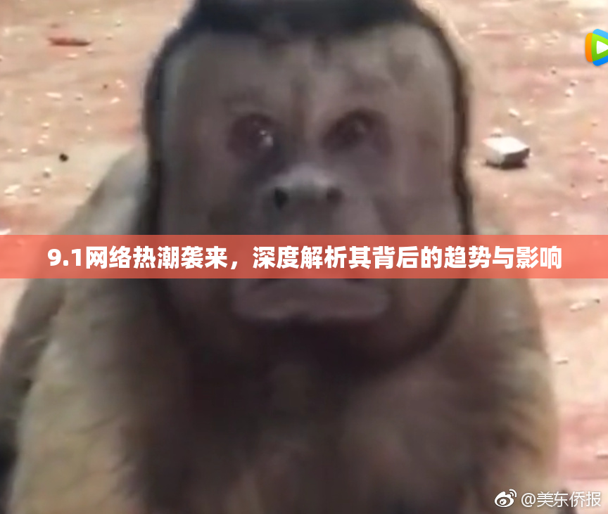 9.1网络热潮袭来，深度解析其背后的趋势与影响