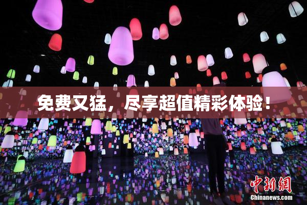 免费又猛，尽享超值精彩体验！