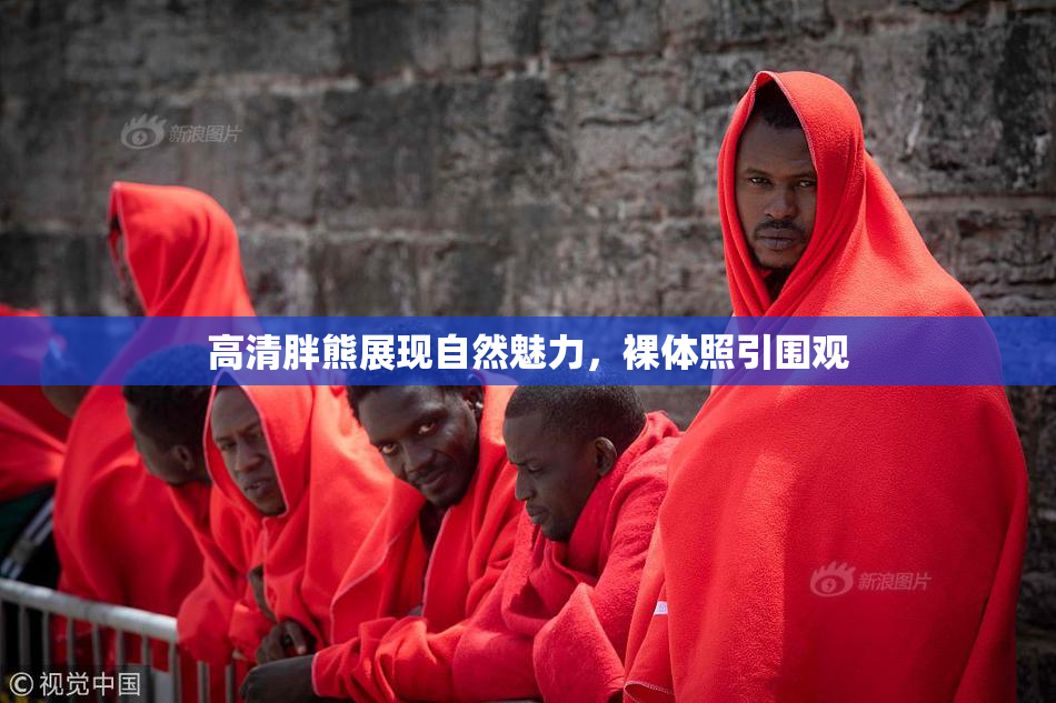 高清胖熊展现自然魅力，裸体照引围观