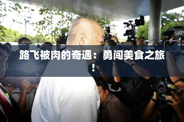 路飞被肉的奇遇：勇闯美食之旅！