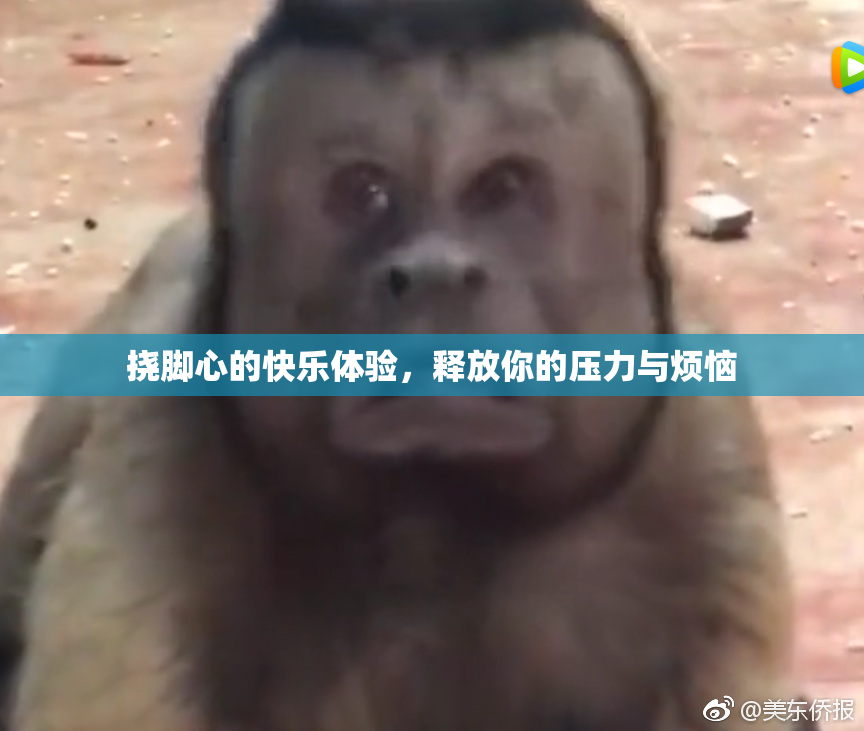 挠脚心的快乐体验，释放你的压力与烦恼