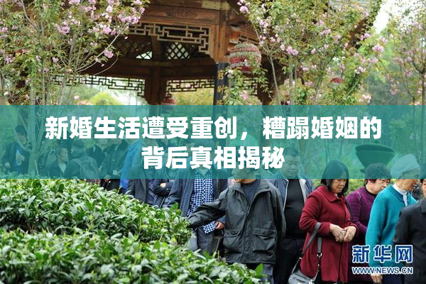 新婚生活遭受重创，糟蹋婚姻的背后真相揭秘