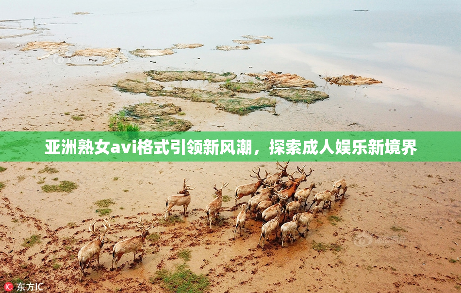 亚洲熟女avi格式引领新风潮，探索成人娱乐新境界