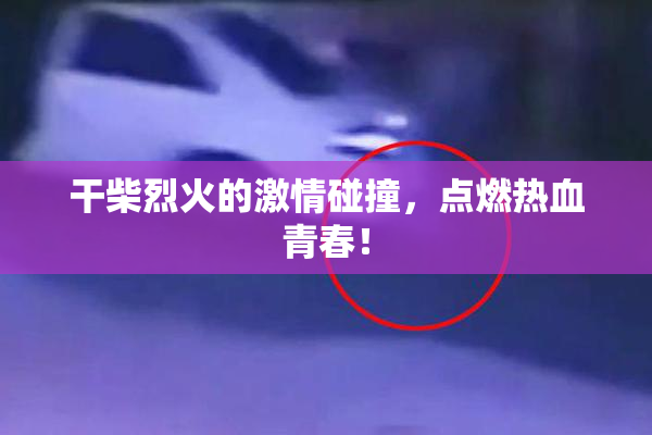 干柴烈火的激情碰撞，点燃热血青春！