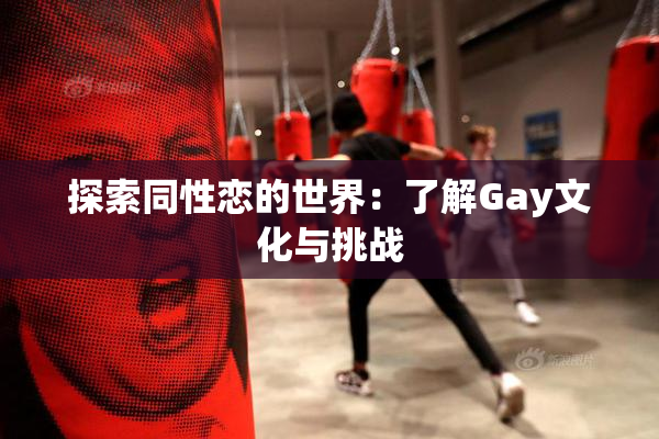 探索同性恋的世界：了解Gay文化与挑战