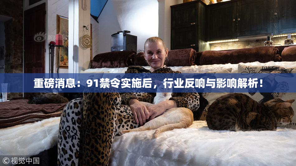 重磅消息：91禁令实施后，行业反响与影响解析！