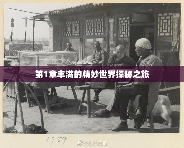 第1章丰满的精妙世界探秘之旅