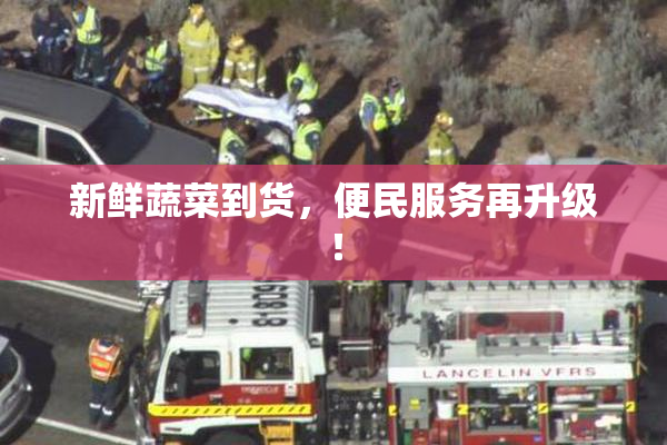 新鲜蔬菜到货，便民服务再升级！