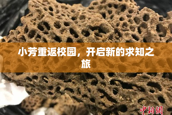 小芳重返校园，开启新的求知之旅