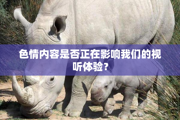 色情内容是否正在影响我们的视听体验？