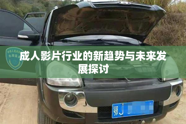 成人影片行业的新趋势与未来发展探讨