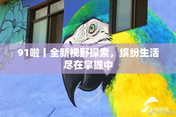 91啦丨全新视野探索，缤纷生活尽在掌握中