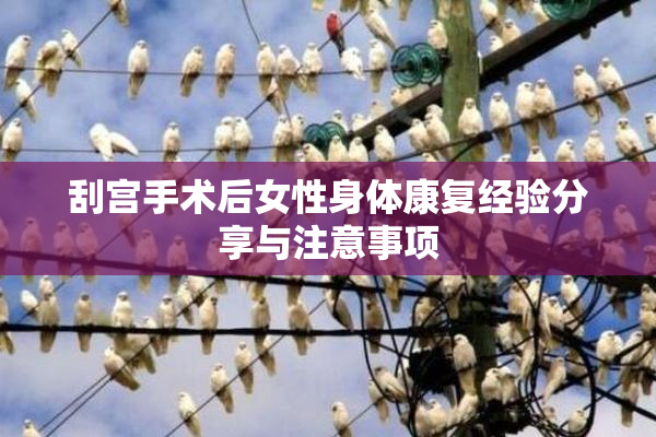 刮宫手术后女性身体康复经验分享与注意事项