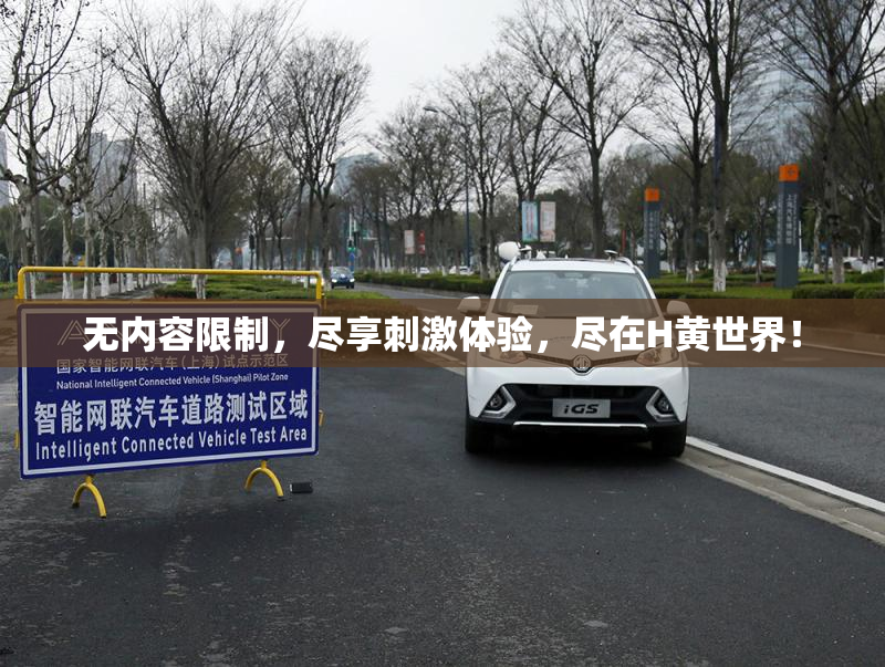 无内容限制，尽享刺激体验，尽在H黄世界！