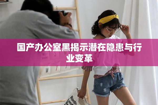 国产办公室黑揭示潜在隐患与行业变革