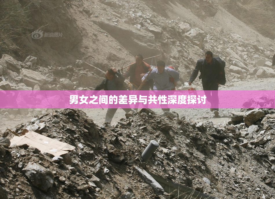 男女之间的差异与共性深度探讨