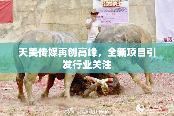 天美传媒再创高峰，全新项目引发行业关注