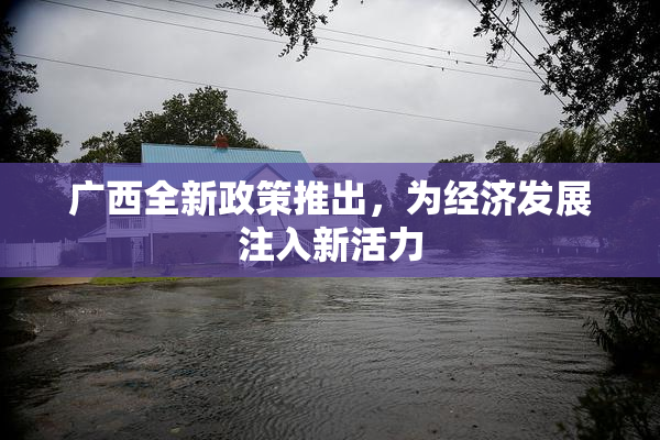 广西全新政策推出，为经济发展注入新活力