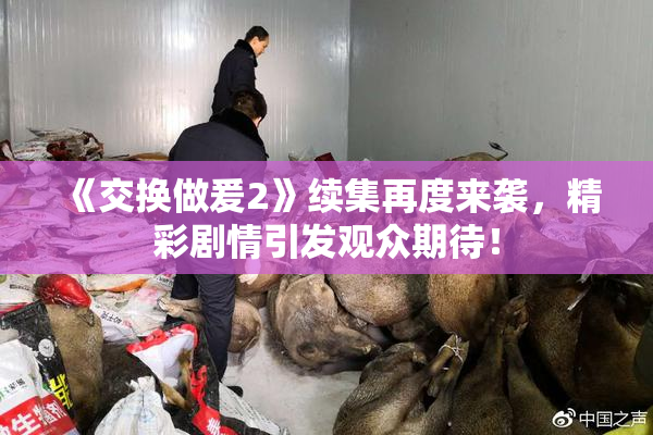 《交换做爰2》续集再度来袭，精彩剧情引发观众期待！