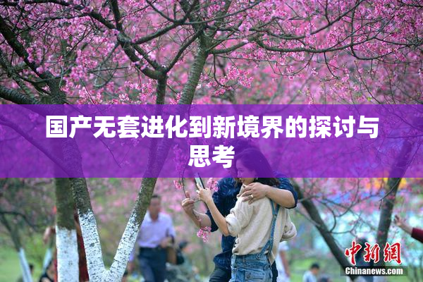 国产无套进化到新境界的探讨与思考