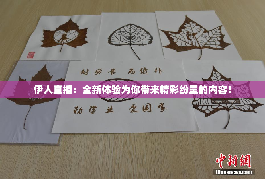 伊人直播：全新体验为你带来精彩纷呈的内容！