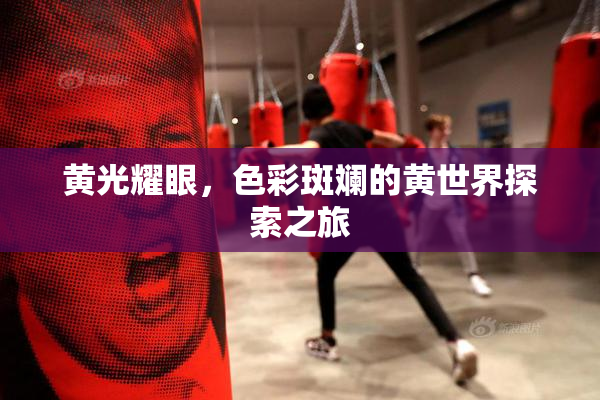 黄光耀眼，色彩斑斓的黄世界探索之旅