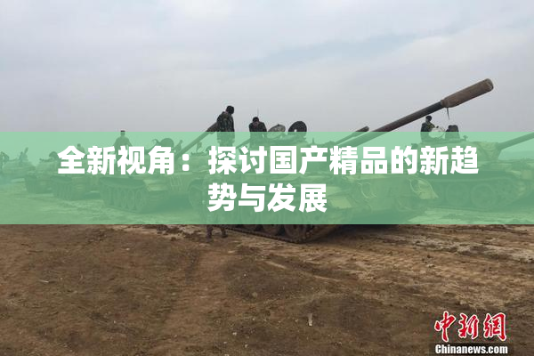 全新视角：探讨国产精品的新趋势与发展