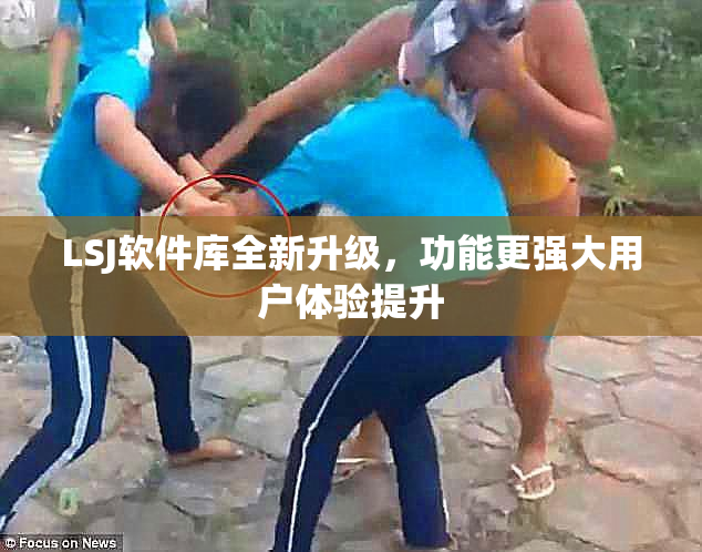 LSJ软件库全新升级，功能更强大用户体验提升